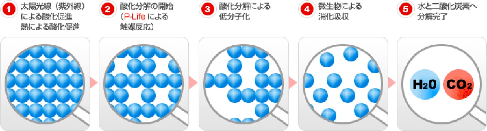 P-Lifeによるプラスチックの分解メカニズム